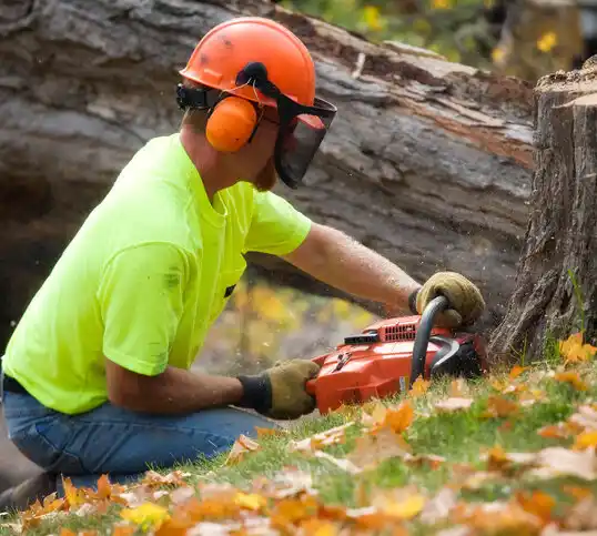 tree services Goshen